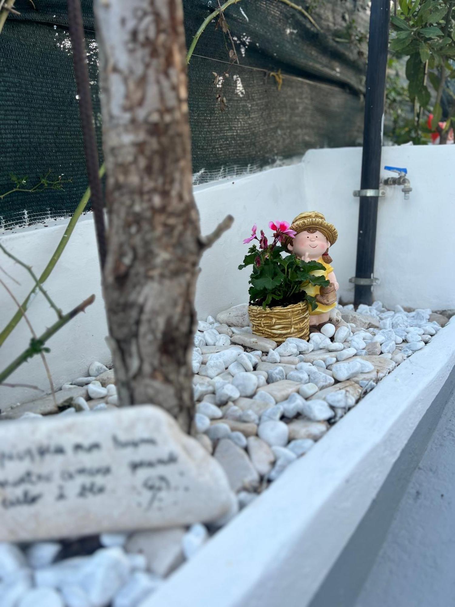 Casa Contrada Molinello Ξενοδοχείο Castellammare del Golfo Εξωτερικό φωτογραφία